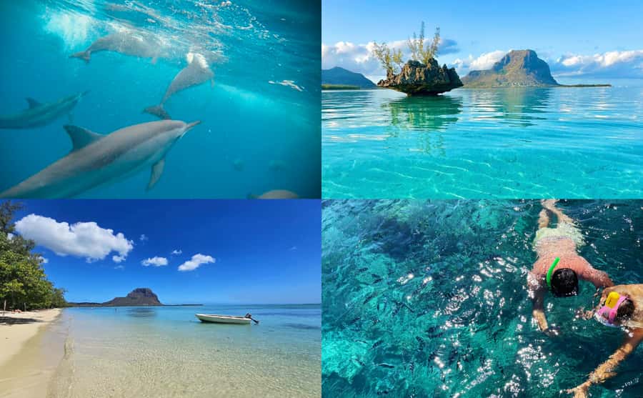 Mauritius: Benitier Island - Swim Dolphins - Speedboat & BBQ - Key takeaways before you go