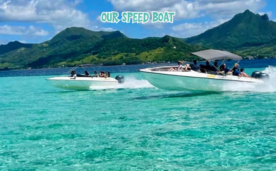 Mauritius: Benitier Island - Swim Dolphins - Speedboat & BBQ - Crystal Rock snorkeling and reef time in clear lagoons