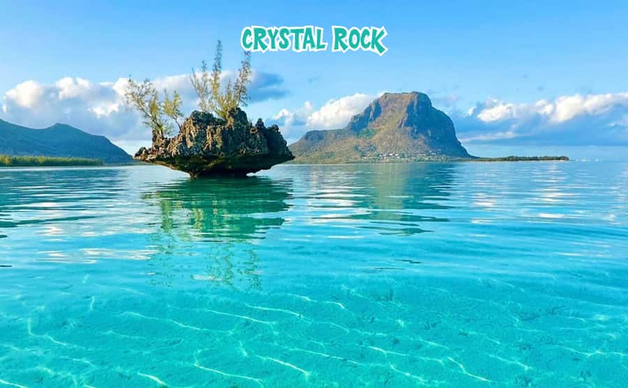 Mauritius: Benitier Island - Swim Dolphins - Speedboat & BBQ - Île aux Bénitiers: shallow lagoon fun and a real BBQ lunch