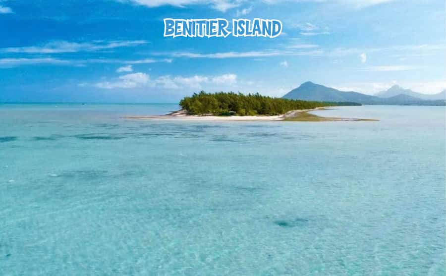 Mauritius: Benitier Island - Swim Dolphins - Speedboat & BBQ - Who should book this dolphin, speedboat, and BBQ island day