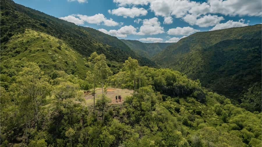 Mauritius: Black River Gorges National Park 3-Hour Hike - Key reasons this 3-hour hike feels worth your time