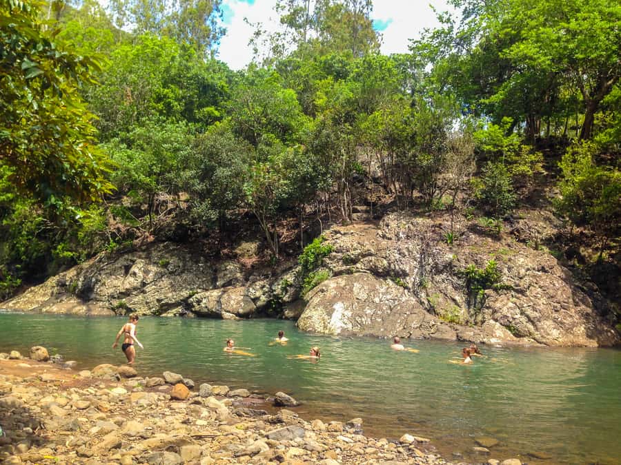 Mauritius: Black River Gorges National Park 3-Hour Hike - The end point swim, how to plan for the river dip