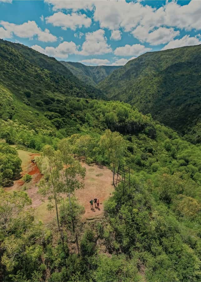 Mauritius: Black River Gorges National Park 3-Hour Hike - Price and value: what $64 gets you in Mauritius