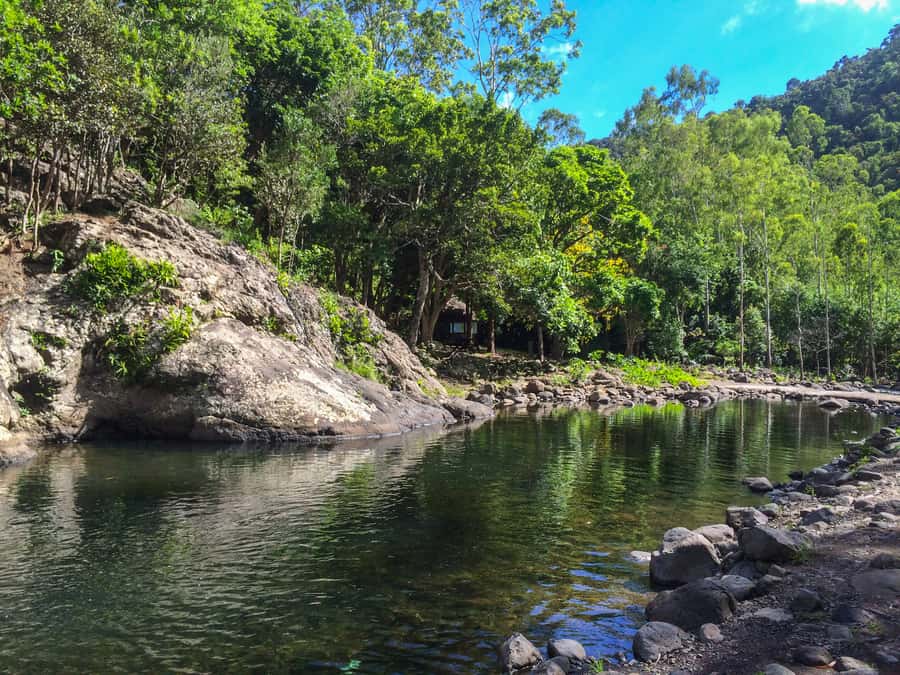Mauritius: Black River Gorges National Park 3-Hour Hike - Small group size (max 10), why it matters on a trail
