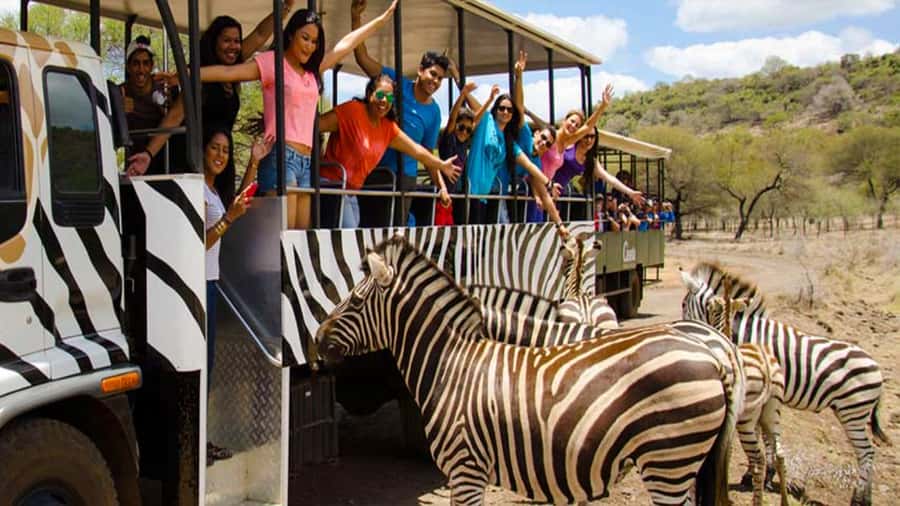 Mauritius: Casela Nature Parks Entrance Ticket with Transfer - Quick Booking Tips That Actually Help