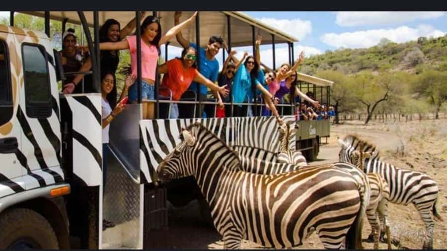 Mauritius: Casela nature parks & flic en flac beach - Timing inside Casela: how to avoid feeling rushed