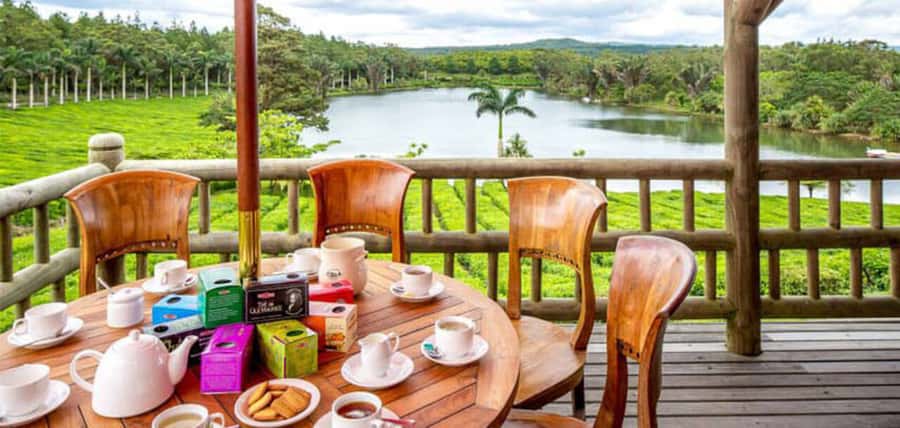 Mauritius: Crocodile Park and Tea Factory Tour with Tasting - Tea Tasting at the Chalet: How to Get More Than One Cup Out of It