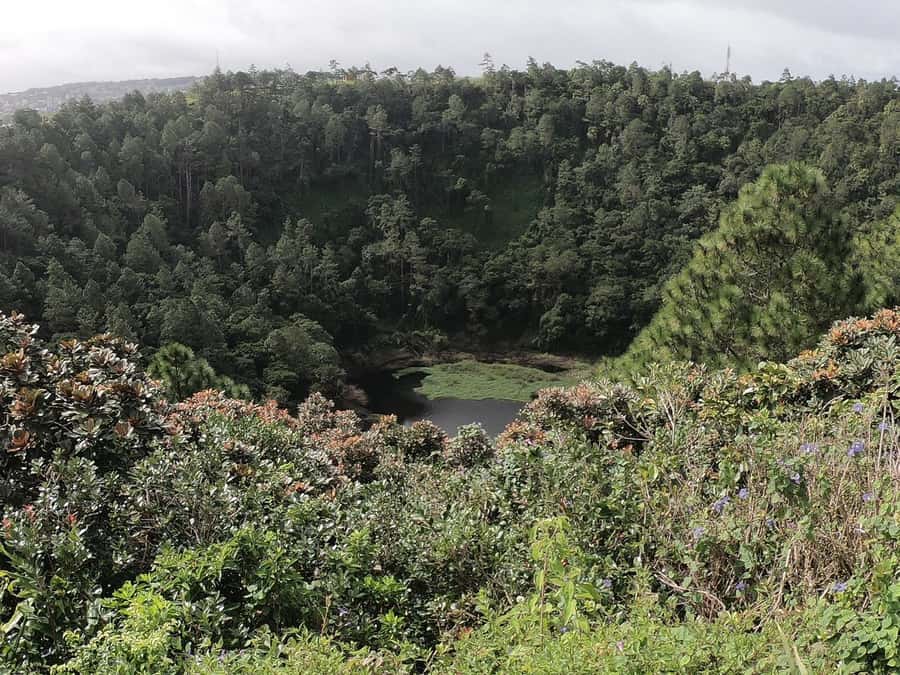 Mauritius: Dolphin Encounter, Trou aux Cerf and Grand Bassin - Trou aux Cerfs crater walk: dormant volcano views at about 2,000 feet