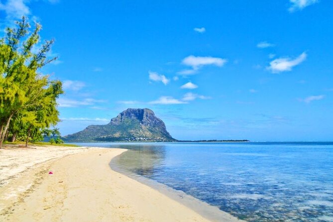 Mauritius : Dolphins Swim and Ile Aux Bénitiers with BBQ - Price and value: what you are paying for in plain terms