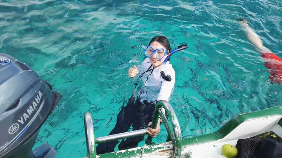 Mauritius: Dolphins watch half-day - First up: the early pickup and speedboat approach