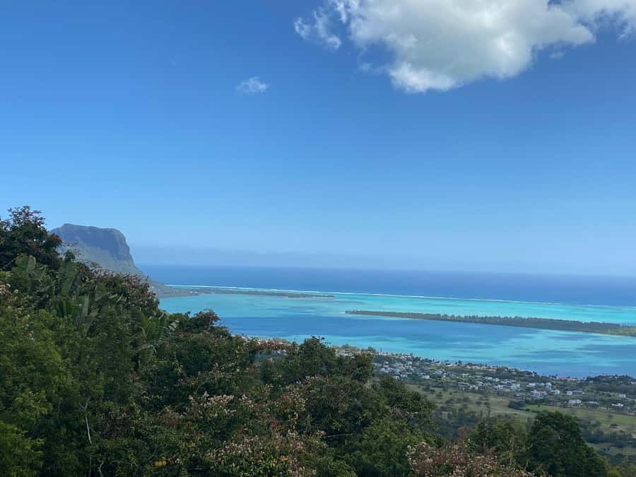 Mauritius: Dolphins watch half-day - What “guaranteed dolphins” really means on the water