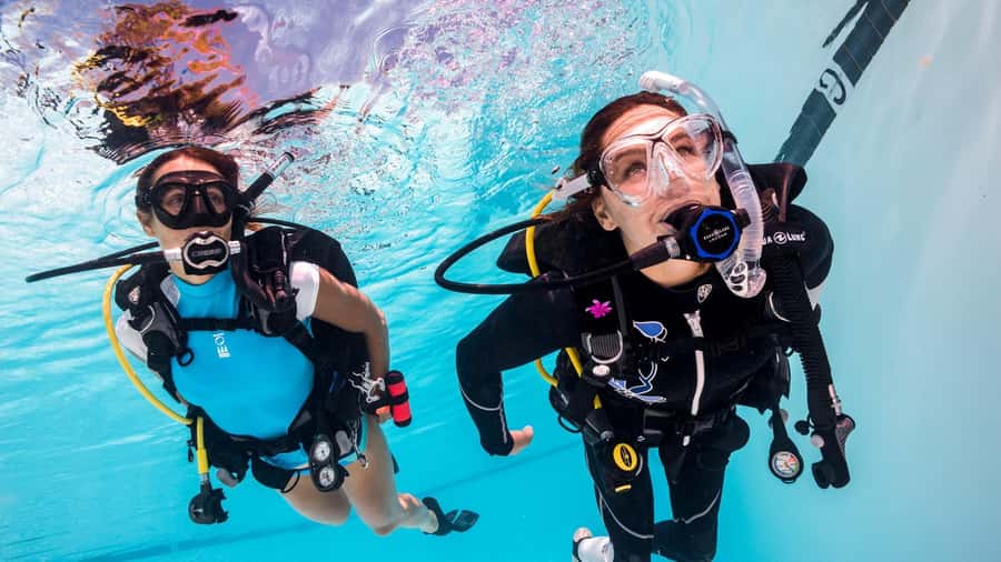 Mauritius: East Belle Mare Scuba Diving Tour - Key things you will notice on this tour