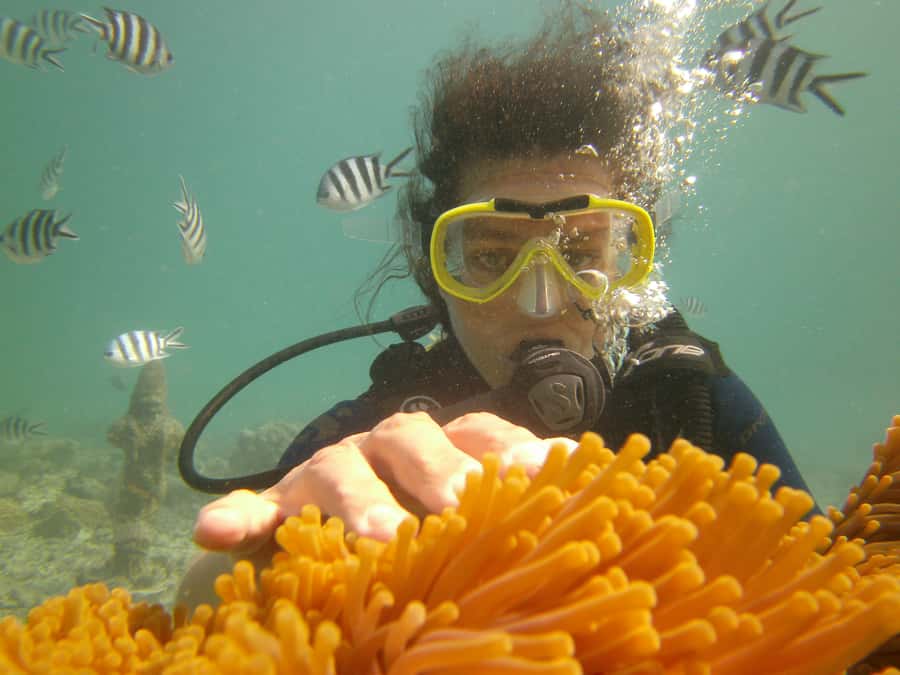 Mauritius: East Belle Mare Scuba Diving Tour - Belle Mare, East Coast Mauritius, and why the scuba format here makes sense