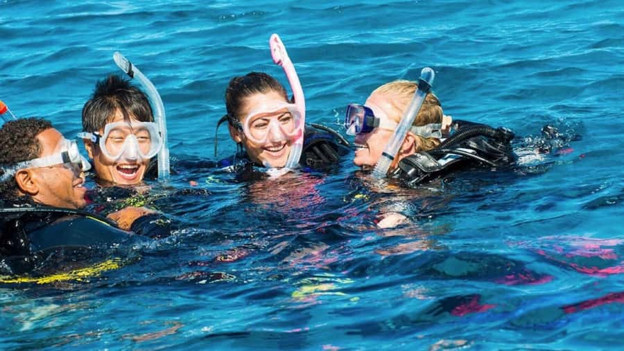 Mauritius: East Belle Mare Scuba Diving Tour - Shallow-water practice: how first-timers build real comfort