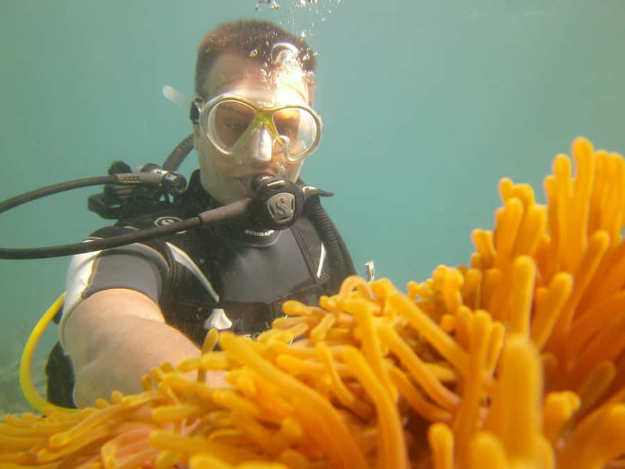 Mauritius: East Belle Mare Scuba Diving Tour - Price and value: what you pay for at $158 per person