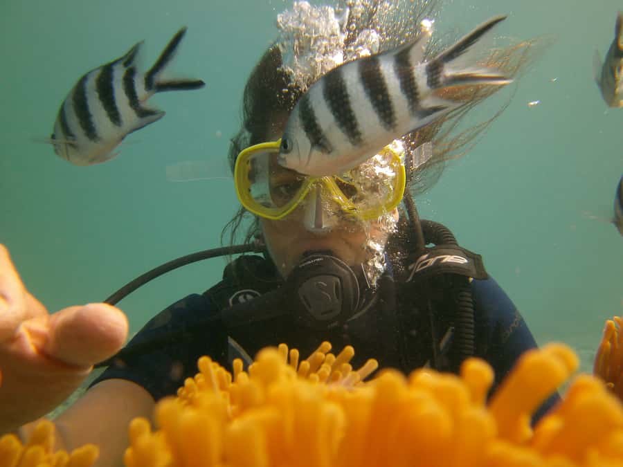 Mauritius: East Belle Mare Scuba Diving Tour - Who this is great for, and who should skip it