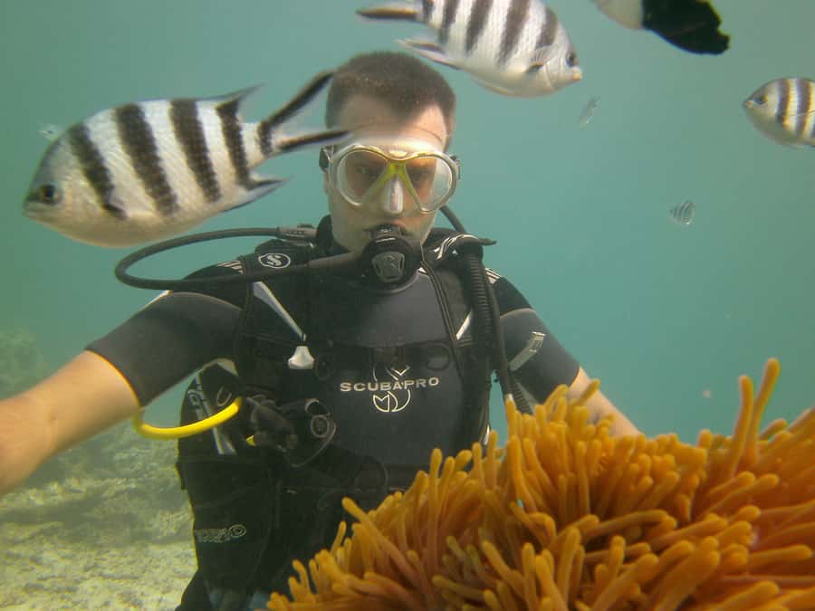 Mauritius: East Belle Mare Scuba Diving Tour - Languages, certification, and the option for West Coast instead