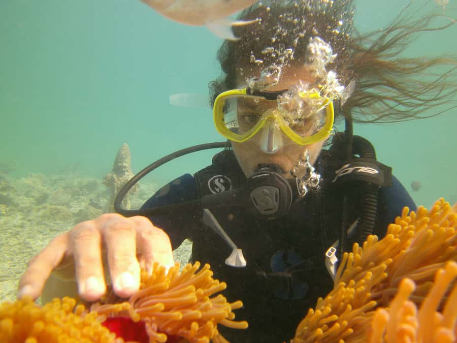 Mauritius: East Belle Mare Scuba Diving Tour - Should you book this Mauritius East Belle Mare scuba tour?