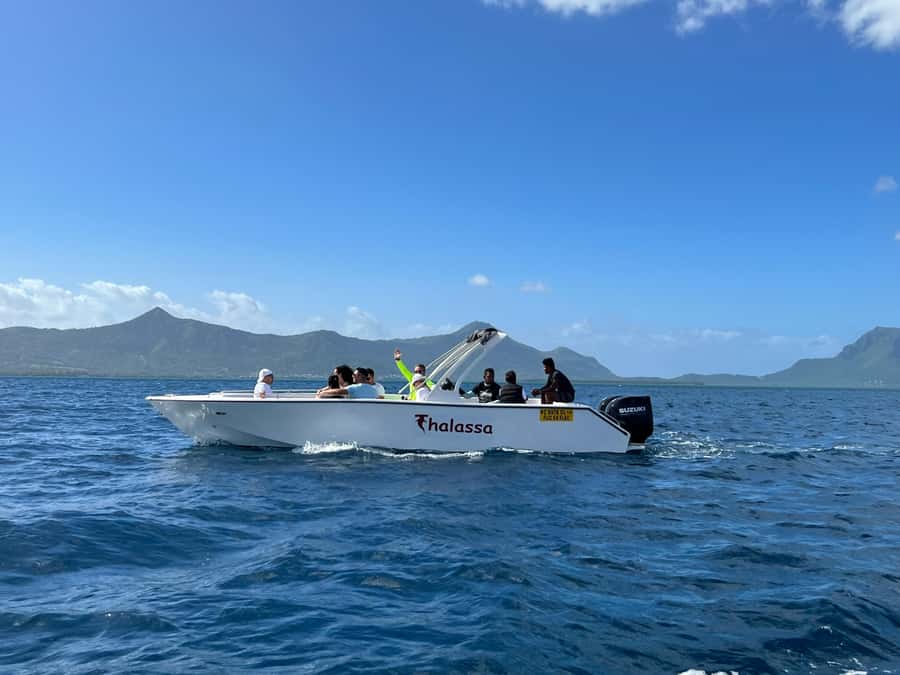 Mauritius Eco Whales Quest, 3-4 hours Expedition - Price and value: is $223 per person fair?
