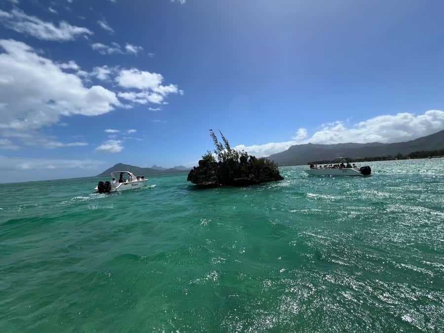 Mauritius Eco Whales Quest, 3-4 hours Expedition - Who should book this whale quest?