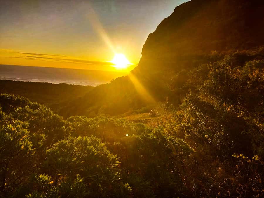 Mauritius: Exclusive Le Morne Sunset Hike & Aperitivo - The climb on Le Morne: views, plants, and a guide who tells you what to look for