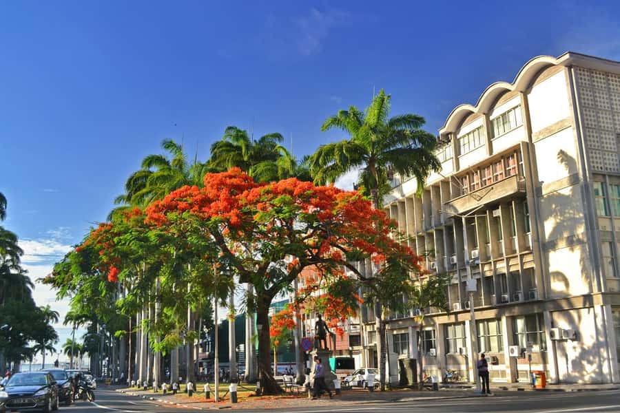Mauritius: Exclusive North Tour with Pickup - How the North Tour flows in an 8-hour private day
