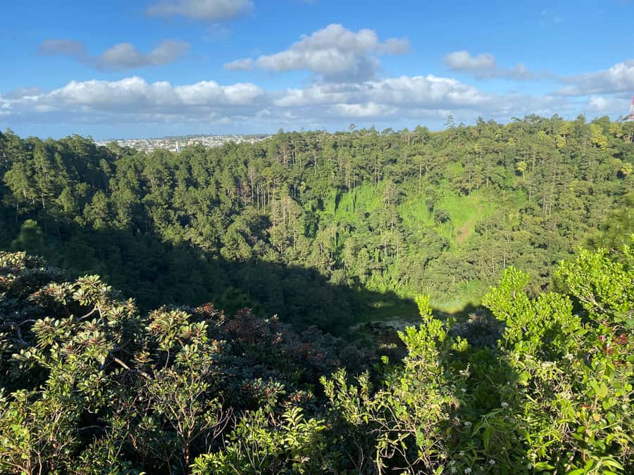 Mauritius: Exclusive South West Tour - Black River Gorges, 6,500 hectares of protected forest views
