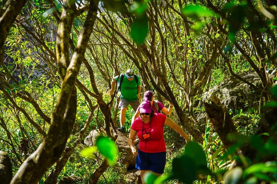Mauritius: Exploring the Tamarind Falls with a Guide - Key Things You Should Know Before You Go