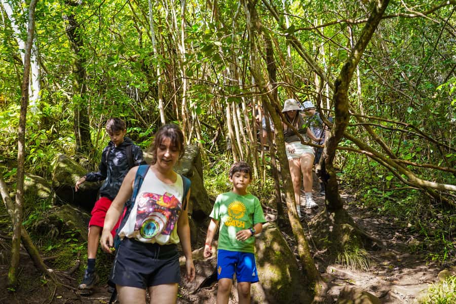 Mauritius: Exploring the Tamarind Falls with a Guide - Steep Sections, Route Options, and How You Stay Together