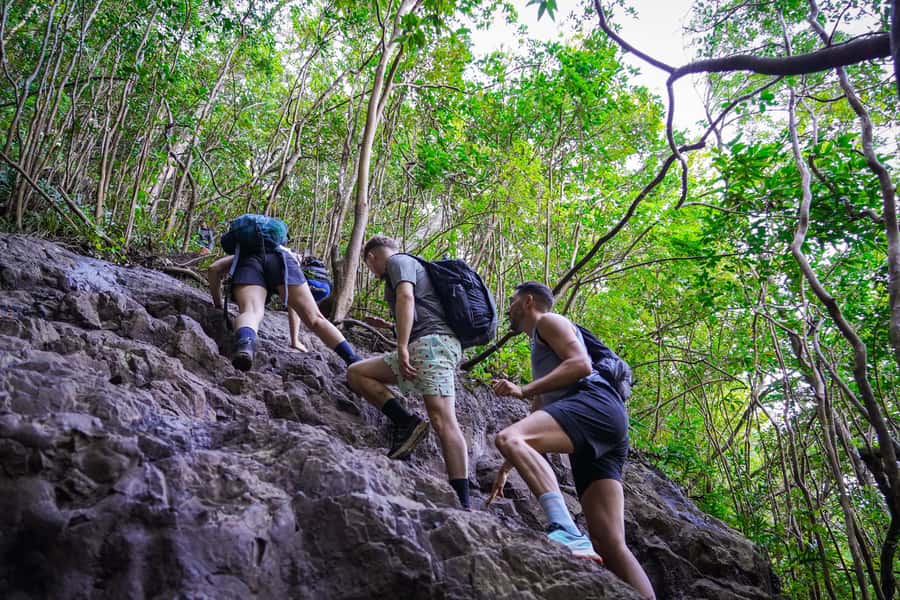 Mauritius: Exploring the Tamarind Falls with a Guide - The Waterfall Massage Finish: The Part Your Back Will Remember