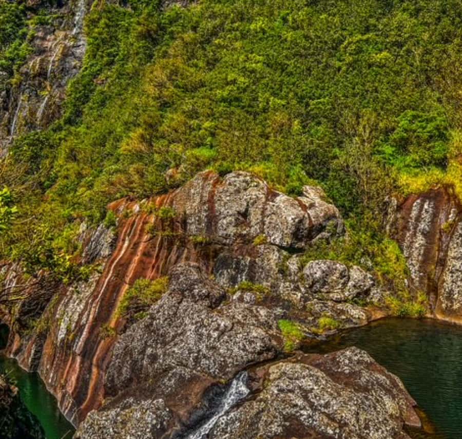 Mauritius: Full Canyon Tamarind Falls 5-Hour Hike - Key Things I’d Plan Around