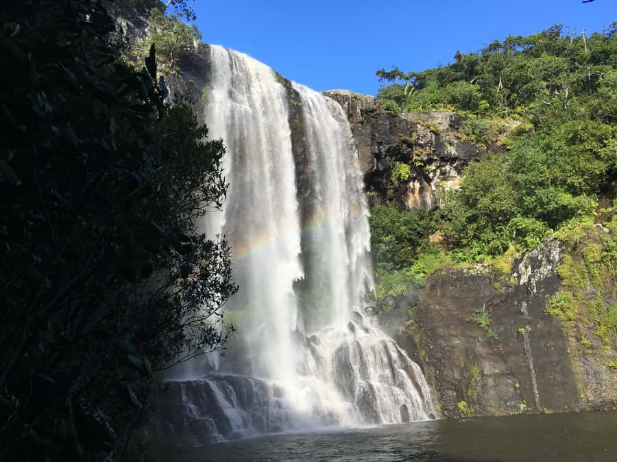 Mauritius: Full Canyon Tamarind Falls 5-Hour Hike - First Waterfall Stop: Where Swimming Becomes Real