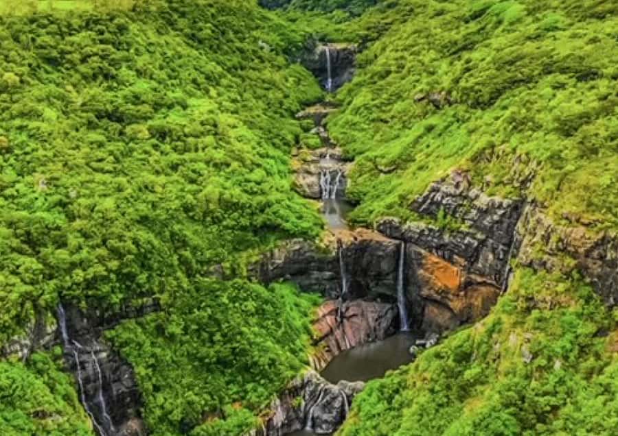Mauritius: Full Canyon Tamarind Falls 5-Hour Hike - Sugarcane Fields to Canyon Entrance: Why the First Walk Is Not Wasted Time
