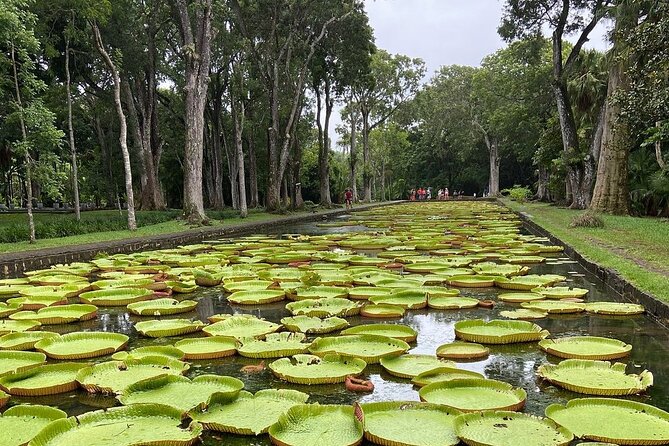 Mauritius full day : Private north tour - Key Things That Make This North Mauritius Tour Worth Your Time