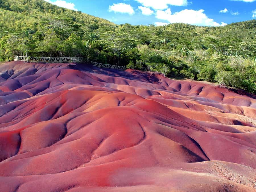 Mauritius: Full Day Private Tour of the South - Trou aux Cerfs and Grand Bassin: crater views you can map