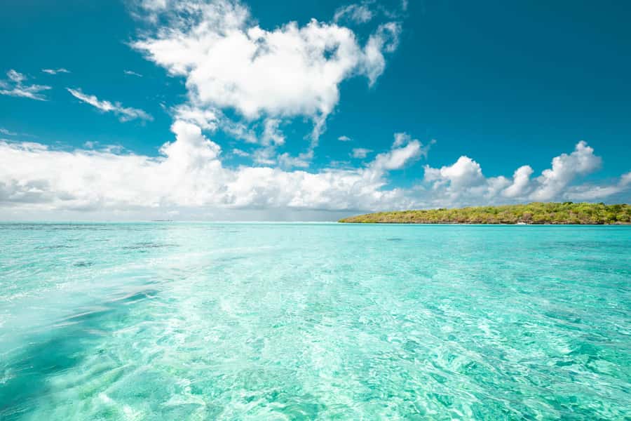 Mauritius: Full-Day Speedboat Tour to Ile aux Cerfs & BBQ - Key points before you go