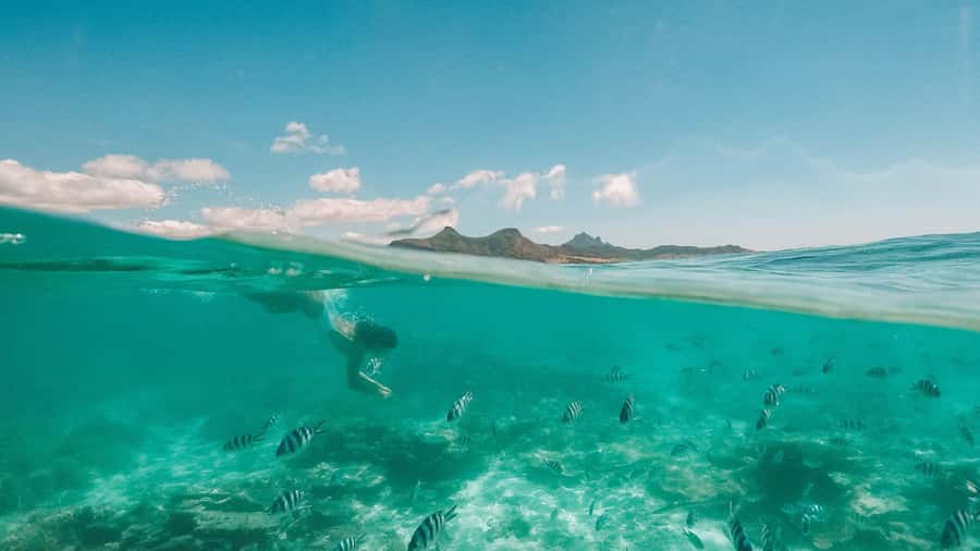Mauritius: Full-Day Speedboat Tour to Ile aux Cerfs & BBQ - d’Alblair Shipwreck (1902) and Lighthouse Island: Photos Plus a Story Stop