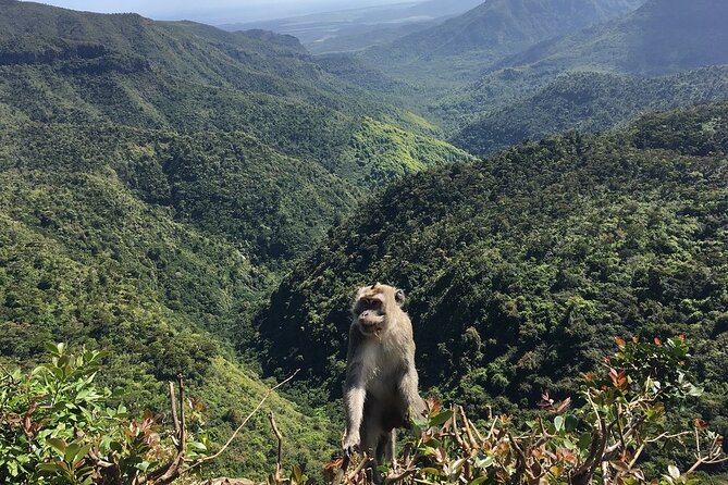 Mauritius full day tour : Private south west with lunch - Stop one at Chamarel Seven Colored Earth Geopark