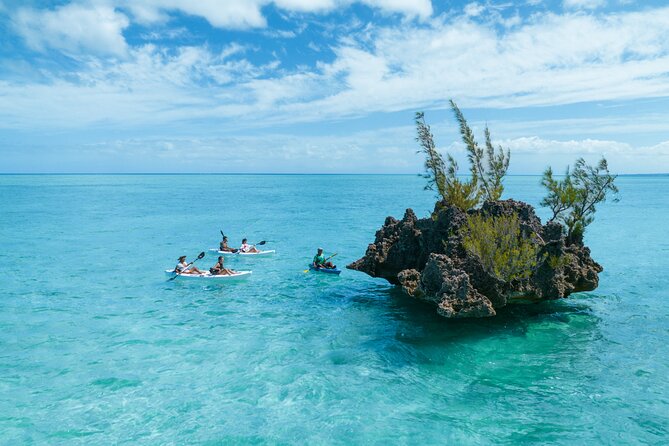 Mauritius Guided Kayak Experience to Benitiers Island - The physical side: moderate fitness, balance, and comfort in the water