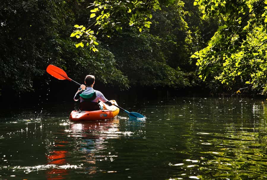 Mauritius: Guided Kayak Tour on Tamarin River - Upstream to two river arms, with mountains framing the view