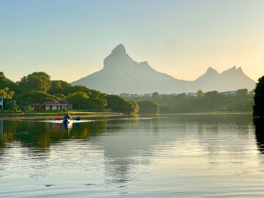 Mauritius: Guided Kayak Tour on Tamarin River - Mangroves, river birds, and the wildlife rhythm you cannot rush