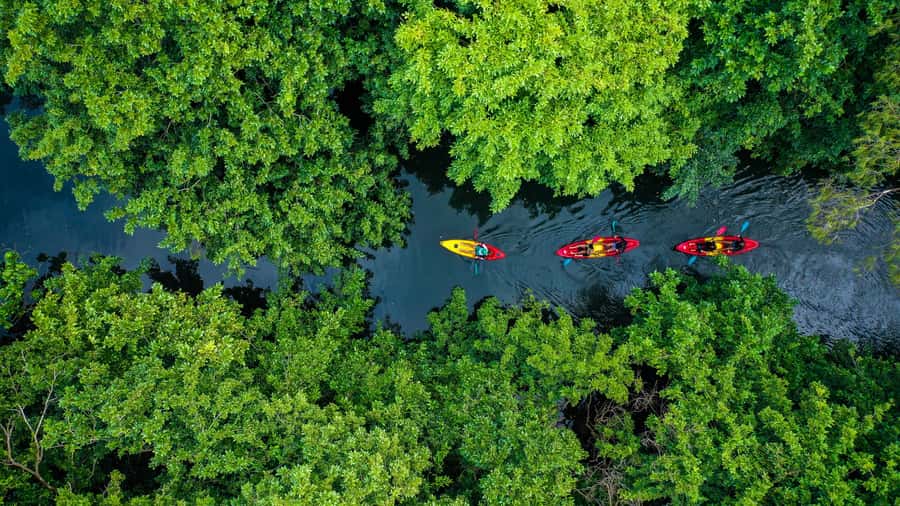 Mauritius: Guided Kayak Tour on Tamarin River - Kayak fundamentals first, then freedom on calm water