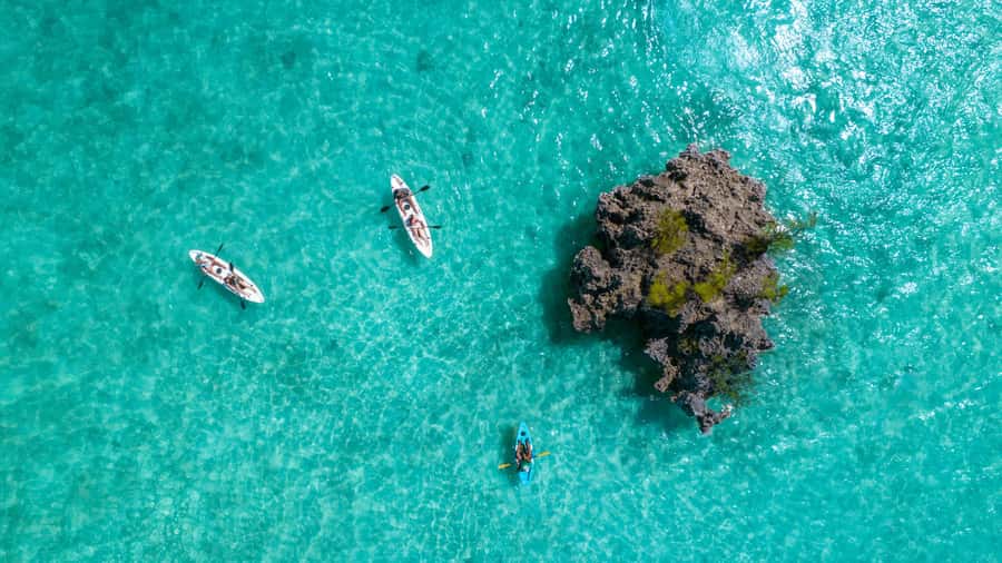 Mauritius: Guided Kayak tour to Benitiers Island - The Pacing: What 2 Hours of Kayaking Really Feels Like