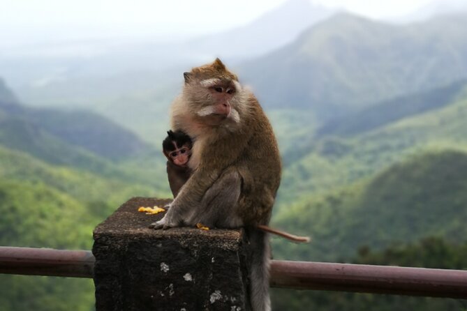 Mauritius Guided South Tour (Private) - Price and value, $116.15 per group up to 4