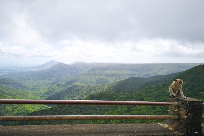 Mauritius Guided South Tour (Private) - Mare aux Vacoas reservoir, a quiet pause between the big sights