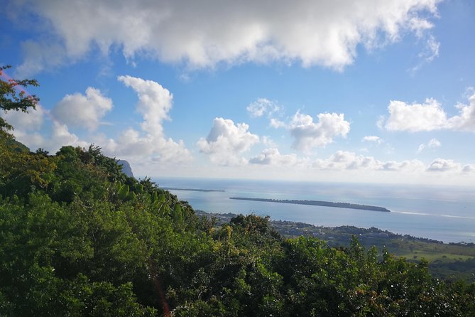 Mauritius Guided Southwest tour (Private) - Black River Gorges Viewpoint: Panoramas and Chance Monkey Encounters