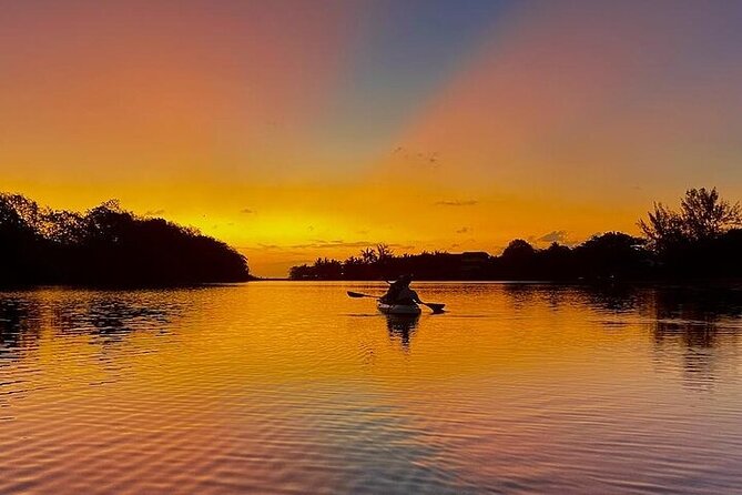 Mauritius Guided Sunrise Kayak Tour on the Tamarin River - Price and Value: Is $42.99 for a Sunrise Kayak Fair?