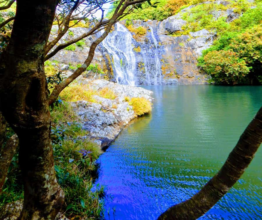 Mauritius: Guided Tamarind Falls Hike with Hotel Transfers - Key things to know before you lace up
