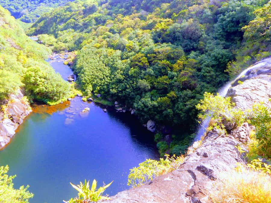 Mauritius: Guided Tamarind Falls Hike with Hotel Transfers - The Waterfalls Up Close, and Why the First Ones Hit Hard