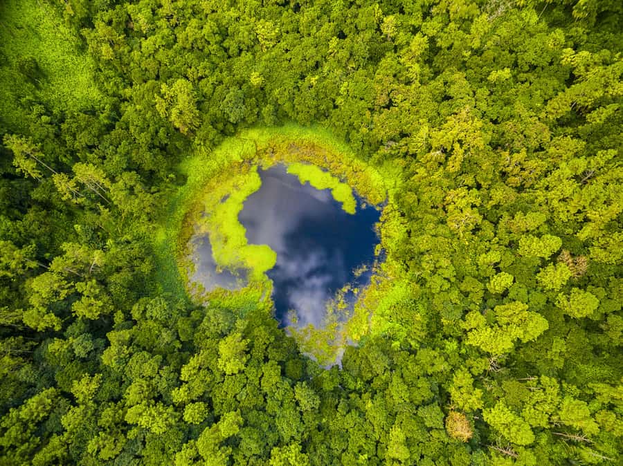 Mauritius: Guided Trip to the Southwest with Safari Tour - Mare aux Vacoas and Ganga Talao, the Shiva stop you will remember